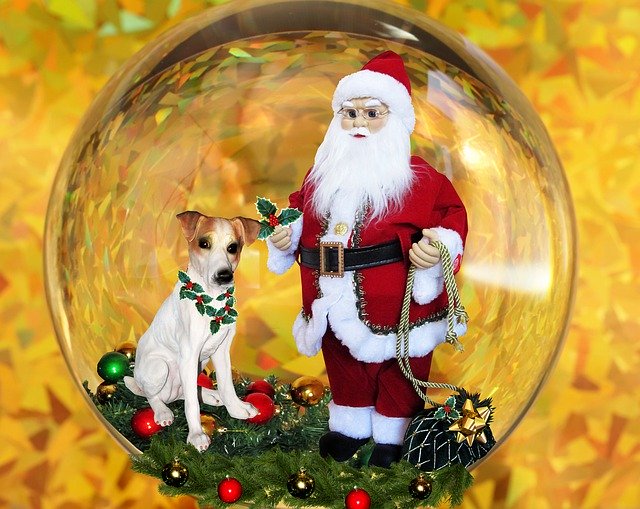 Free download Christmas Santa Dog -  free free photo or picture to be edited with GIMP online image editor