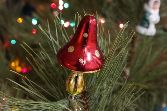 Template Photo Christmas Toy Mushroom for OffiDocs