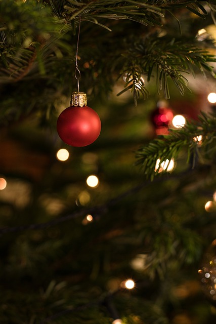 Free download christmas tree ball christmas tree free picture to be edited with GIMP free online image editor