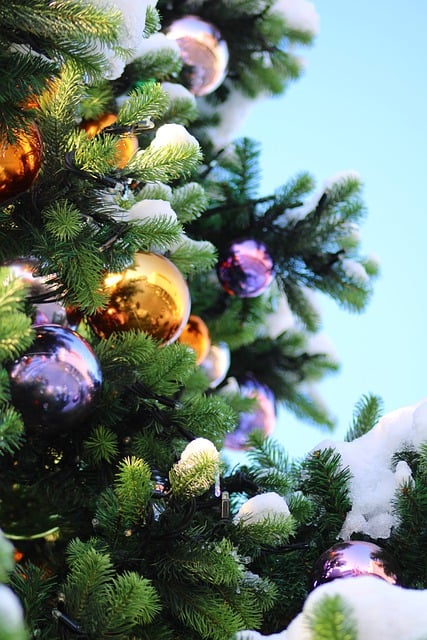 Free download christmas tree christmas decorations free picture to be edited with GIMP free online image editor