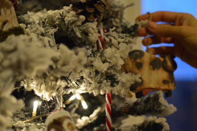 دانلود رایگان خانواده درخت کریسمس - عکس یا تصویر رایگان رایگان برای ویرایش با ویرایشگر تصویر آنلاین GIMP