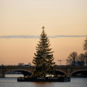 Christmas tree on the river in front of a bridge  screen for extension Chrome web store in OffiDocs Chromium