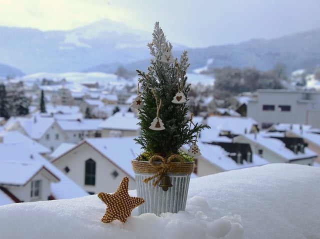 Free download christmas tree snow frost star free picture to be edited with GIMP free online image editor