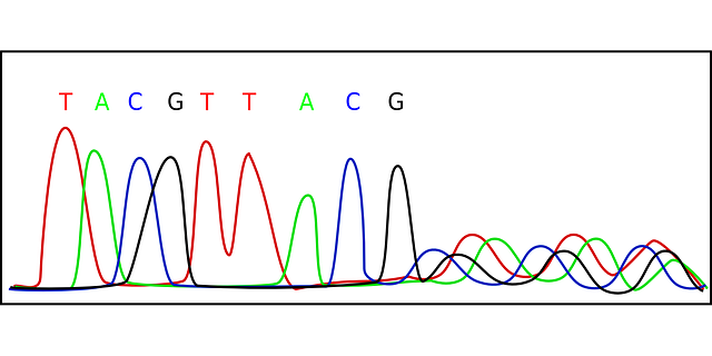 Free download Chromatogram Biology Dna - Free vector graphic on Pixabay free illustration to be edited with GIMP free online image editor