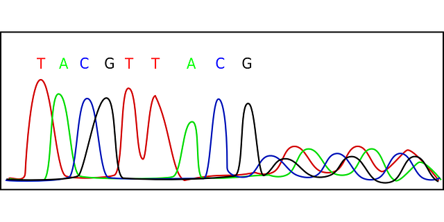 Descarga gratuita Cromatograma Biología Adn - ​​Gráficos vectoriales gratis en Pixabay ilustración gratis para editar con GIMP editor de imágenes en línea gratuito