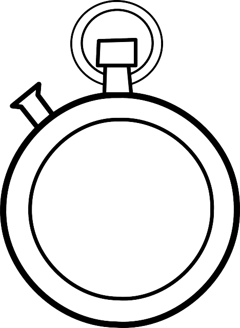 Download gratuito Cronometro Orologio Orologio Da Polso - Grafica vettoriale gratuita su Pixabay illustrazione gratuita per essere modificata con GIMP editor di immagini online gratuito