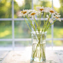 Chrysanthemum vase  screen for extension Chrome web store in OffiDocs Chromium