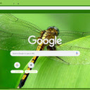 Chuon chuon  screen for extension Chrome web store in OffiDocs Chromium
