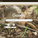 Chuot duoi dai  screen for extension Chrome web store in OffiDocs Chromium