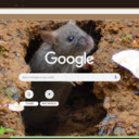 Chuot hang  screen for extension Chrome web store in OffiDocs Chromium Chuot hang  screen for extension Chrome web store in OffiDocs Chromium