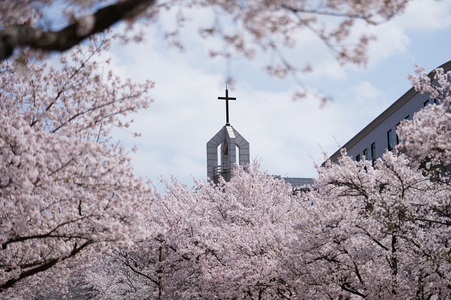 Free download church flowers trees blossom free picture to be edited with GIMP free online image editor