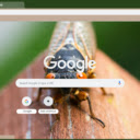 Cicada  screen for extension Chrome web store in OffiDocs Chromium