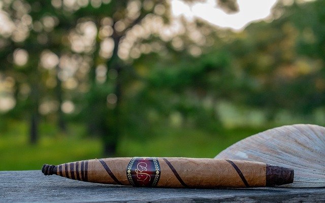 Free download Cigar Coastal Tobacco -  free photo or picture to be edited with GIMP online image editor