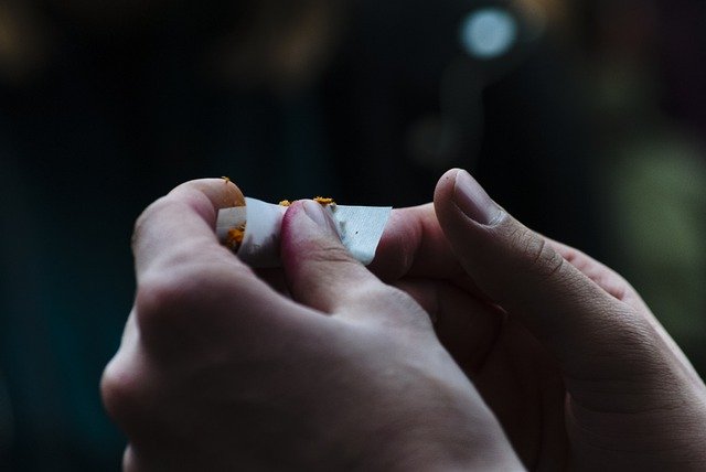 تنزيل Cigarette Rolling Smoking مجانًا - صورة مجانية أو صورة مجانية ليتم تحريرها باستخدام محرر الصور عبر الإنترنت GIMP