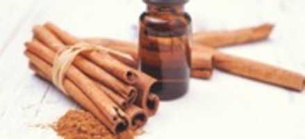 Free download Cinnamon Oil free photo or picture to be edited with GIMP online image editor