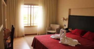 Free download cisnes free photo or picture to be edited with GIMP online image editor