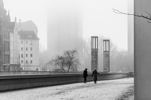 Baixe gratuitamente a imagem gratuita do nevoeiro da cidade, da estrada, da neblina do inverno para ser editada com o editor de imagens on-line gratuito do GIMP