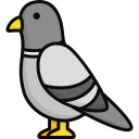 City Pigeons on the Ledge  screen for extension Chrome web store in OffiDocs Chromium