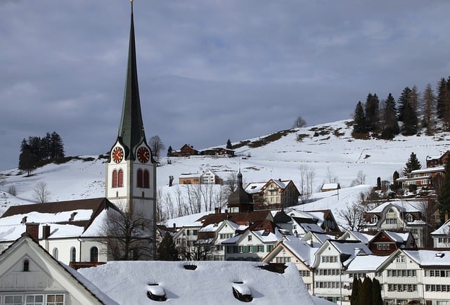 免费下载城市冬季房屋村庄塔免费图片使用 GIMP 免费在线图像编辑器进行编辑