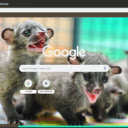 Civet  screen for extension Chrome web store in OffiDocs Chromium