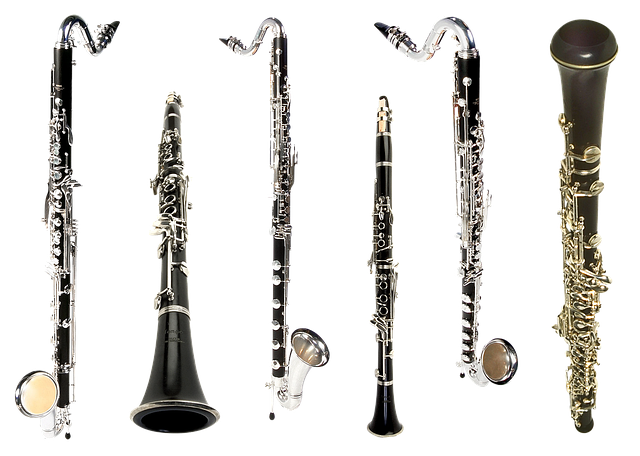 Free download Clarinet Bass Musical -  free illustration to be edited with GIMP free online image editor
