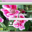 Clarkia  screen for extension Chrome web store in OffiDocs Chromium