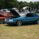 Classic Cars Parked on an Open Grass Field  screen for extension Chrome web store in OffiDocs Chromium