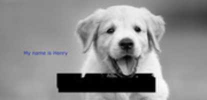 Free download Classwork free photo or picture to be edited with GIMP online image editor