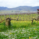 Clean vegetable farm  screen for extension Chrome web store in OffiDocs Chromium