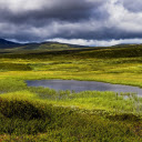 Clear puddle on grassland  screen for extension Chrome web store in OffiDocs Chromium