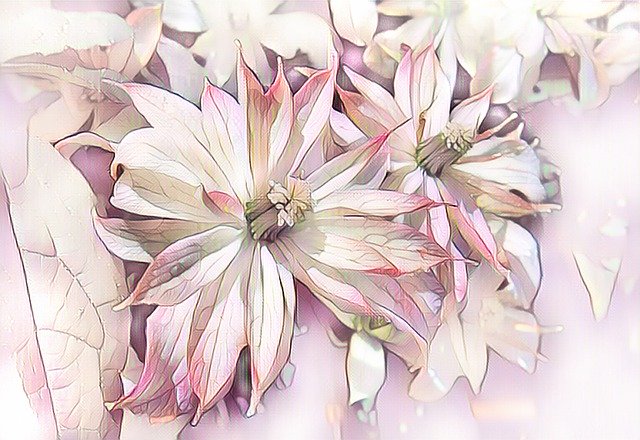 Free download Clematis Montana Digital Painting -  free illustration to be edited with GIMP free online image editor