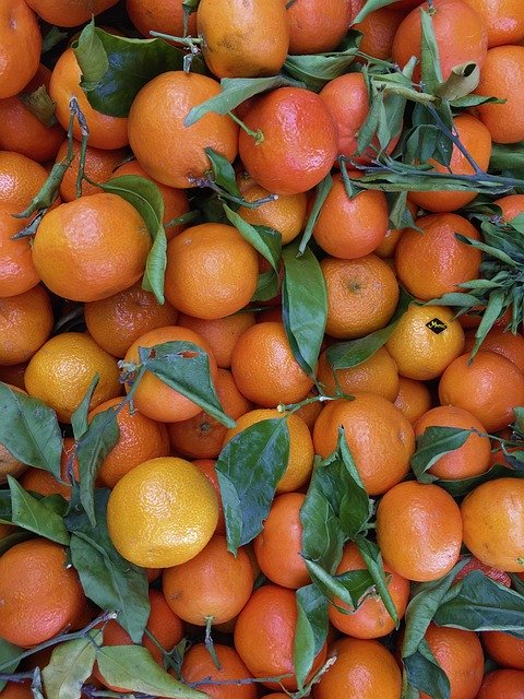clementine fruit clementine fruit