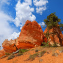 Cliffs and lonely trees  screen for extension Chrome web store in OffiDocs Chromium