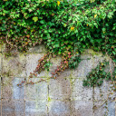Climbing wall  screen for extension Chrome web store in OffiDocs Chromium