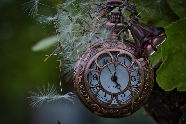 Free download clock pocket watch time close up free picture to be edited with GIMP free online image editor