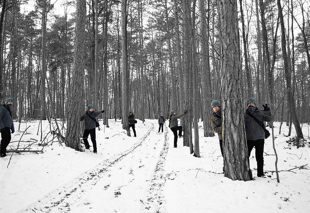免费下载克隆冬季森林 - 使用 GIMP 在线图像编辑器编辑的免费照片或图片