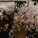 Close Up Shot of Blooming Pink Flowers  screen for extension Chrome web store in OffiDocs Chromium