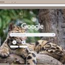 Clouded Leopard  screen for extension Chrome web store in OffiDocs Chromium