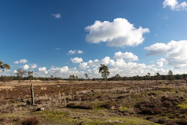 ດາວ​ໂຫຼດ​ຟຣີ Clouds Cloud Vista - ຮູບ​ພາບ​ຟຣີ​ຫຼື​ຮູບ​ພາບ​ທີ່​ຈະ​ໄດ້​ຮັບ​ການ​ແກ້​ໄຂ​ກັບ GIMP ອອນ​ໄລ​ນ​໌​ບັນ​ນາ​ທິ​ການ​ຮູບ​ພາບ​