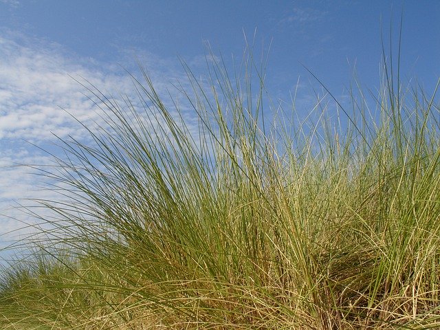 Free download Clouds Sky Grass -  free photo or picture to be edited with GIMP online image editor