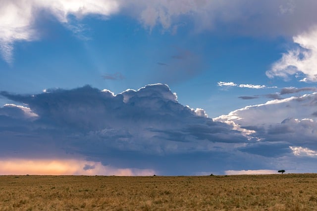Descarga gratuita de imágenes de paisaje de safari de cielo de nubes para editar con el editor de imágenes en línea gratuito GIMP
