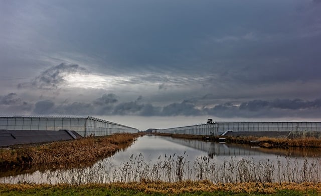 Free download clouds water reflection greenhouses free picture to be edited with GIMP free online image editor