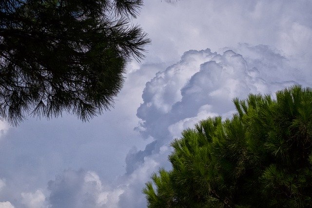Gratis download Cloud Trees Outdoors - gratis foto of afbeelding om te bewerken met GIMP online afbeeldingseditor