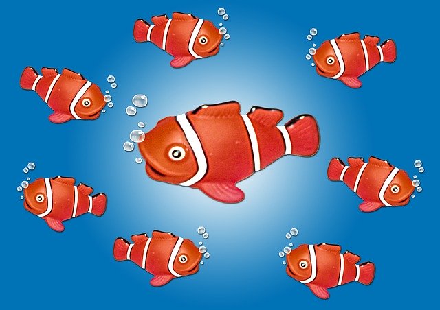 Free download Clown Fish Nemo -  free illustration to be edited with GIMP free online image editor