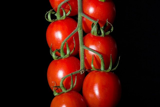 Unduh gratis Cluster Tomatoes Cherry - foto atau gambar gratis untuk diedit dengan editor gambar online GIMP