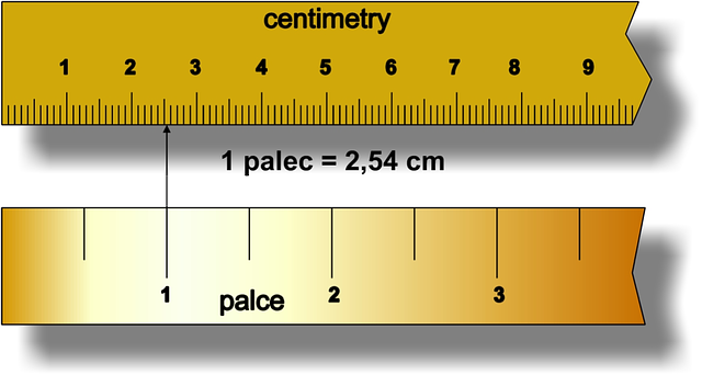 Kostenloser Download Cm Zoll Übertragung - Kostenlose Vektorgrafik auf Pixabay, kostenlose Illustration zur Bearbeitung mit GIMP, kostenloser Online-Bildeditor