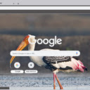 Co  screen for extension Chrome web store in OffiDocs Chromium