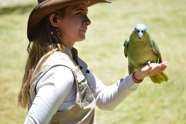 تحميل مجاني Coach Women Birds - صورة مجانية أو صورة لتحريرها باستخدام محرر الصور عبر الإنترنت GIMP