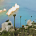 Coastal Blooms  screen for extension Chrome web store in OffiDocs Chromium