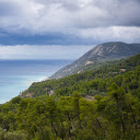 Coastal forest  screen for extension Chrome web store in OffiDocs Chromium